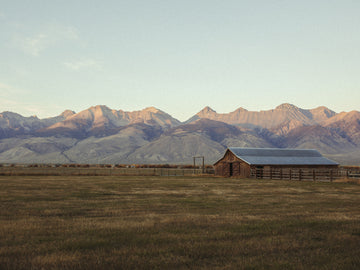 Ranch Life – Roam the Range